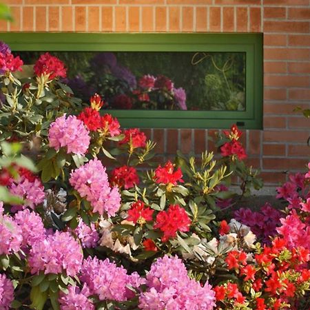 Villa Delle Ortensie Tavagnacco Eksteriør billede